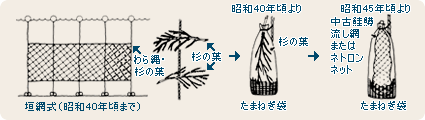 ほたてがいの採苗施設