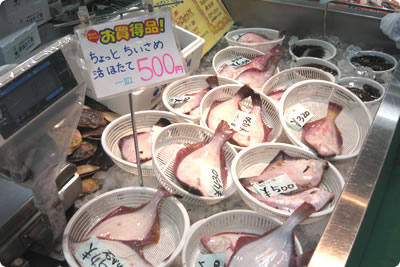 むつ湾産鮮魚コーナー